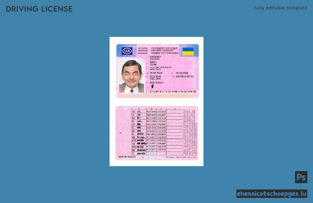 Beispielvorschau für den ukrainischen Führerschein ab 2024